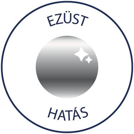 AVERY ZWECKFORM Matrica,  2 ív, 76x120 mm, AVERY ZWECKFORM, "Z-Design No.52812", ezüst csillagok