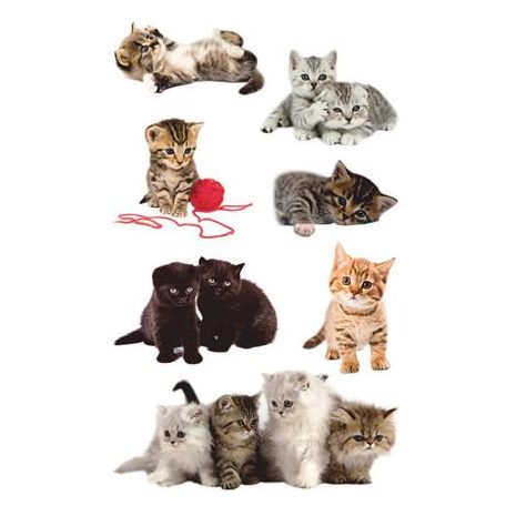 AVERY ZWECKFORM Matrica, papír,  3 ív, 76x120 mm, AVERY ZWECKFORM, "Z-Design No.55971", játékos kölyök cicák