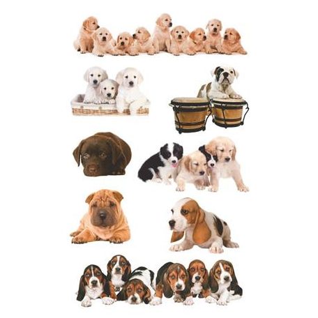 AVERY ZWECKFORM Matrica, papír,  3 ív, 76x120 mm, AVERY ZWECKFORM, "Z-Design No.55972", kölyök kutyák