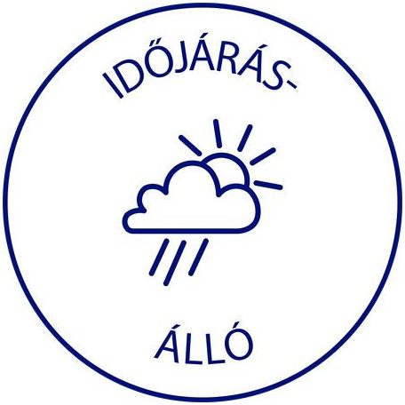 AVERY ZWECKFORM Etikett, 210x297 mm, poliészter, AVERY ZWECKFORM, átlátszó, 25 etikett/csomag