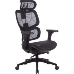   Irodai forgószék, hálós ülőlap és háttámla, fekete műanyag lábkereszt, "Humantech", fekete
