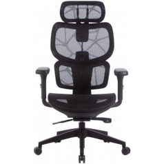   Irodai forgószék, hálós ülőlap és háttámla, fekete műanyag lábkereszt, "Humantech", fekete