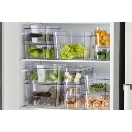 SMARTSTORE Műanyag tárolódoboz, 0,6 liter, SMARTSTORE "Compact Clear XS", átlátszó