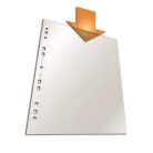 DURABLE Genotherm, lefűzhető, PP, A4, 80 mikron, DURABLE "PREMIUM"