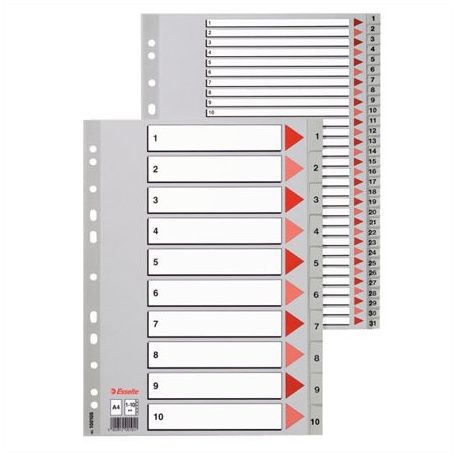 ESSELTE Regiszter, műanyag, A4, 1-10, ESSELTE,szürke