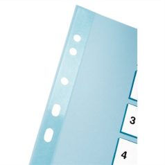   ESSELTE Regiszter, karton, A4, 1-10, ESSELTE "Mylar"
