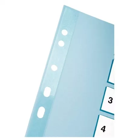 ESSELTE Regiszter, karton, A4, 1-10, ESSELTE "Mylar"