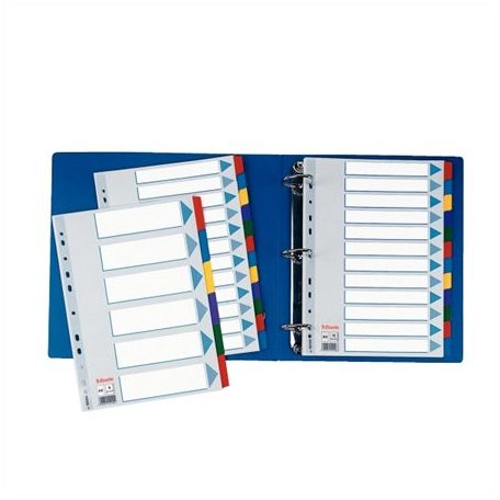 ESSELTE Regiszter, laminált karton, A4, 6 részes, ESSELTE "Mylar"