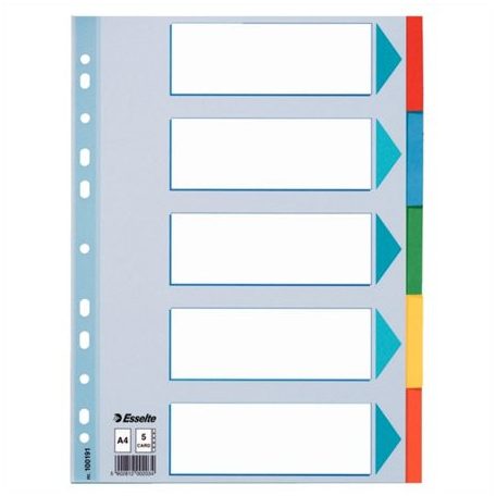 ESSELTE Regiszter, karton, A4, 5 részes, írható előlappal, ESSELTE "Standard", színes