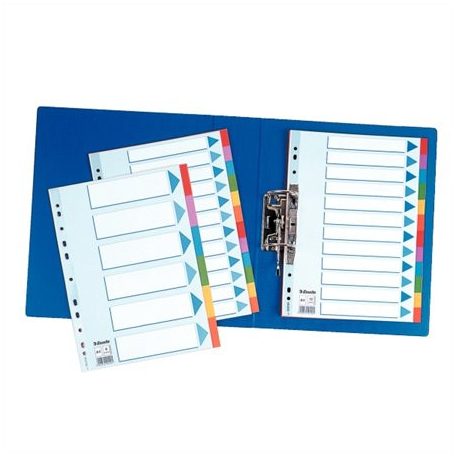 ESSELTE Regiszter, karton, A4, 5 részes, írható előlappal, ESSELTE "Standard", színes