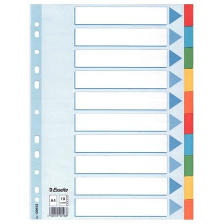 ESSELTE Regiszter, karton, A4, 10 részes, írható előlappal, ESSELTE "Standard", színes