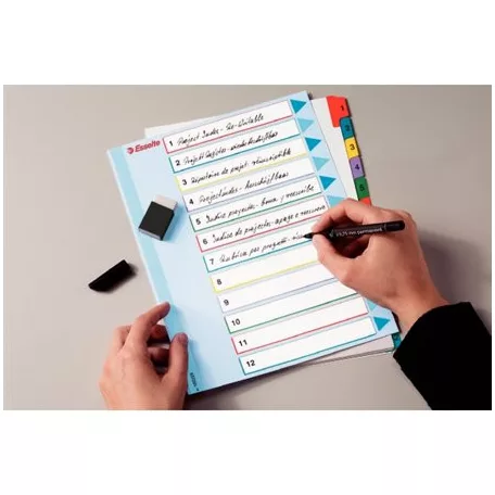 ESSELTE Regiszter, laminált karton, A4 Maxi, 1-10, újraírható, ESSELTE