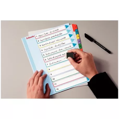 ESSELTE Regiszter, laminált karton, A4 Maxi, 1-10, újraírható, ESSELTE