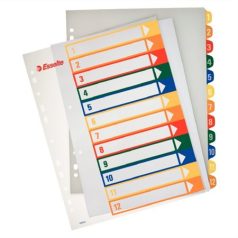   ESSELTE Regiszter, műanyag, A4 Maxi, 1-12, nyomtatható, ESSELTE, áttetsző