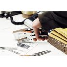 RAPID Tűzőgép, kézi, nagyteljesítményű, 70 lap, RAPID "HD31 Classic", ezüst