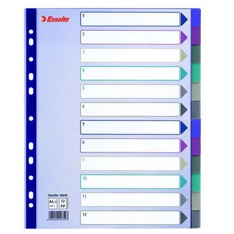 ESSELTE Regiszter, műanyag, A4 Maxi, 12 részes, ESSELTE, színes