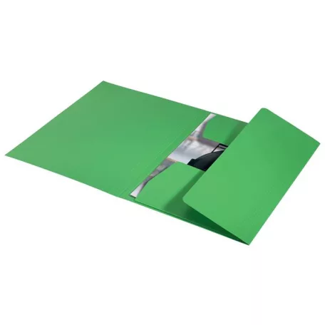 LEITZ Pólyás dosszié, karton, A4, LEITZ "Recycle", zöld