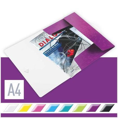 LEITZ Gumis mappa, PP, A4, LEITZ "Wow", lila