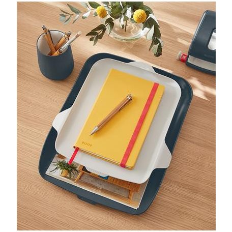 LEITZ Irattálca, rendszerező tálcával, műanyag LEITZ "Cosy", bársonyszürke