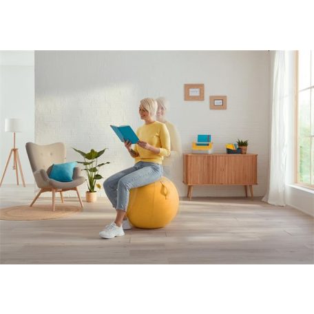 LEITZ Ülőlabda, LEITZ "Ergo Cosy", bársonyszürke