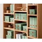 LEITZ Tárolódoboz, M méret, alacsony, LEITZ "Puro", zsályazöld