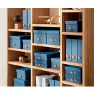 LEITZ Tárolódoboz, M méret, LEITZ "Puro", óceánkék