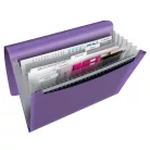 ESSELTE Harmonikamappa, A4, PP, 6 rekeszes, ESSELTE "Colour'Breeze", levendula