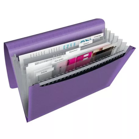 ESSELTE Harmonikamappa, A4, PP, 6 rekeszes, ESSELTE "Colour'Breeze", levendula