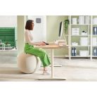 LEITZ Ülőlabda, nehezékkel, 65cm, LEITZ "Ergo Active", világosszürke
