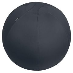   LEITZ Ülőlabda, nehezékkel, 65cm, LEITZ "Ergo Active", sötétszürke