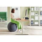 LEITZ Ülőlabda, nehezékkel, 65cm, LEITZ "Ergo Active", sötétszürke