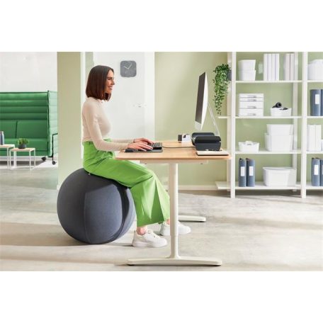 LEITZ Ülőlabda, nehezékkel, 65cm, LEITZ "Ergo Active", sötétszürke