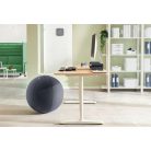 LEITZ Ülőlabda, nehezékkel, 65cm, LEITZ "Ergo Active", sötétszürke