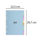 EXACOMPTA Regiszter, karton, A4, 10 részes, EXACOMPTA, pasztell színek