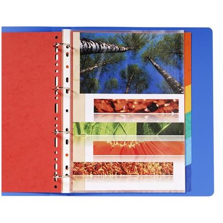 EXACOMPTA Regiszter, karton, A4+, 6 részes, EXACOMPTA, színes