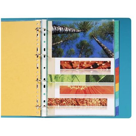 EXACOMPTA Regiszter, karton, A4+, 12 részes, EXACOMPTA, színes