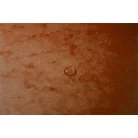 EXACOMPTA Gumis mappa, prespán, A4, EXACOMPTA, narancs