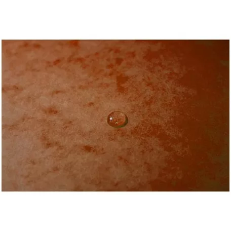 EXACOMPTA Gumis mappa, prespán, A4, EXACOMPTA, narancs