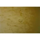 EXACOMPTA Gumis mappa, prespán, A4, EXACOMPTA, sárga