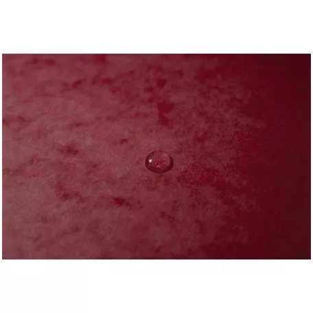 EXACOMPTA Gumis mappa, prespán, A4, EXACOMPTA, cseresznye