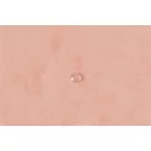 EXACOMPTA Gumis mappa, prespán, A4, EXACOMPTA, "Aquarel", korall