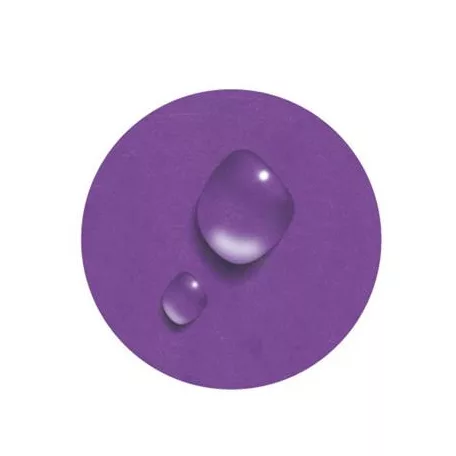 EXACOMPTA Gumis mappa, karton, A4, EXACOMPTA "Iderama", lila