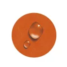 EXACOMPTA Gumis mappa, karton, A4, EXACOMPTA "Iderama", narancs