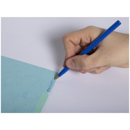 EXACOMPTA Regiszter, karton, A4, 12 részes, EXACOMPTA "Aquarel"