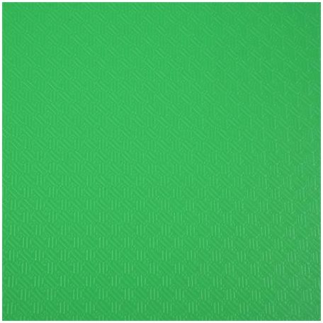 EXACOMPTA Bemutatómappa, 30 zsebes, A4, EXACOMPTA "Opak", zöld