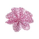 FOLIA Origami papír, 15x15 cm, 80 g, 50 lap, FOLIA "Tropical", 10 különböző minta