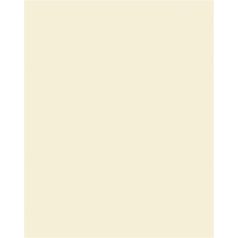   FOLIA Dekorkarton, 2 oldalas, 50x70 cm, 300 g, 10 lap, FOLIA, bézs