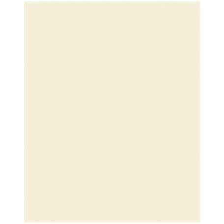 FOLIA Dekorkarton, 2 oldalas, 50x70 cm, 300 g, 10 lap, FOLIA, bézs