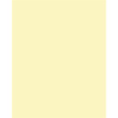   FOLIA Dekorkarton, 2 oldalas, 50x70 cm, 300 g, 10 lap, FOLIA, szalmasárga