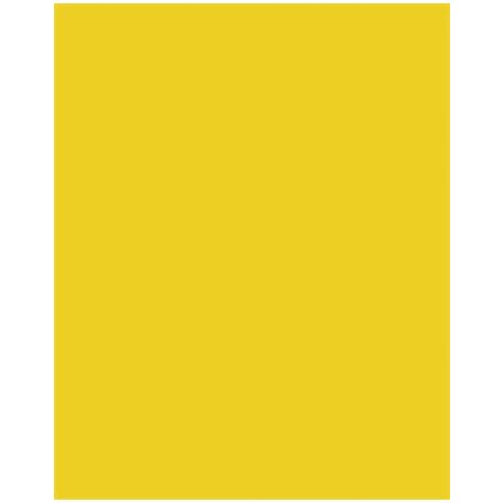 FOLIA Dekorkarton, 2 oldalas, 50x70 cm, 300 g, 10 lap, FOLIA, aranysárga